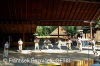 Folklorní festival Slezské dny