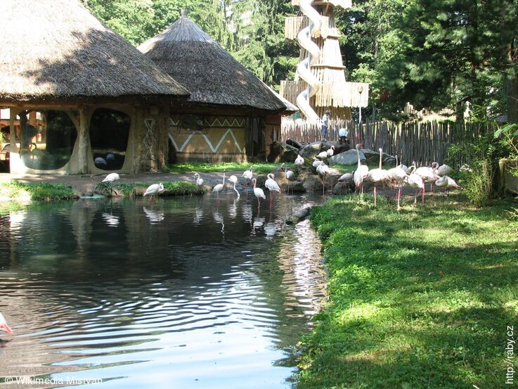 ZOO Jihlava